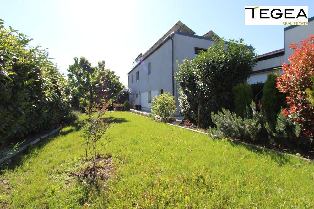 Seitlicher Gartenbereich mit Rasen und Blick auf die moderne Architektur des Hauses.