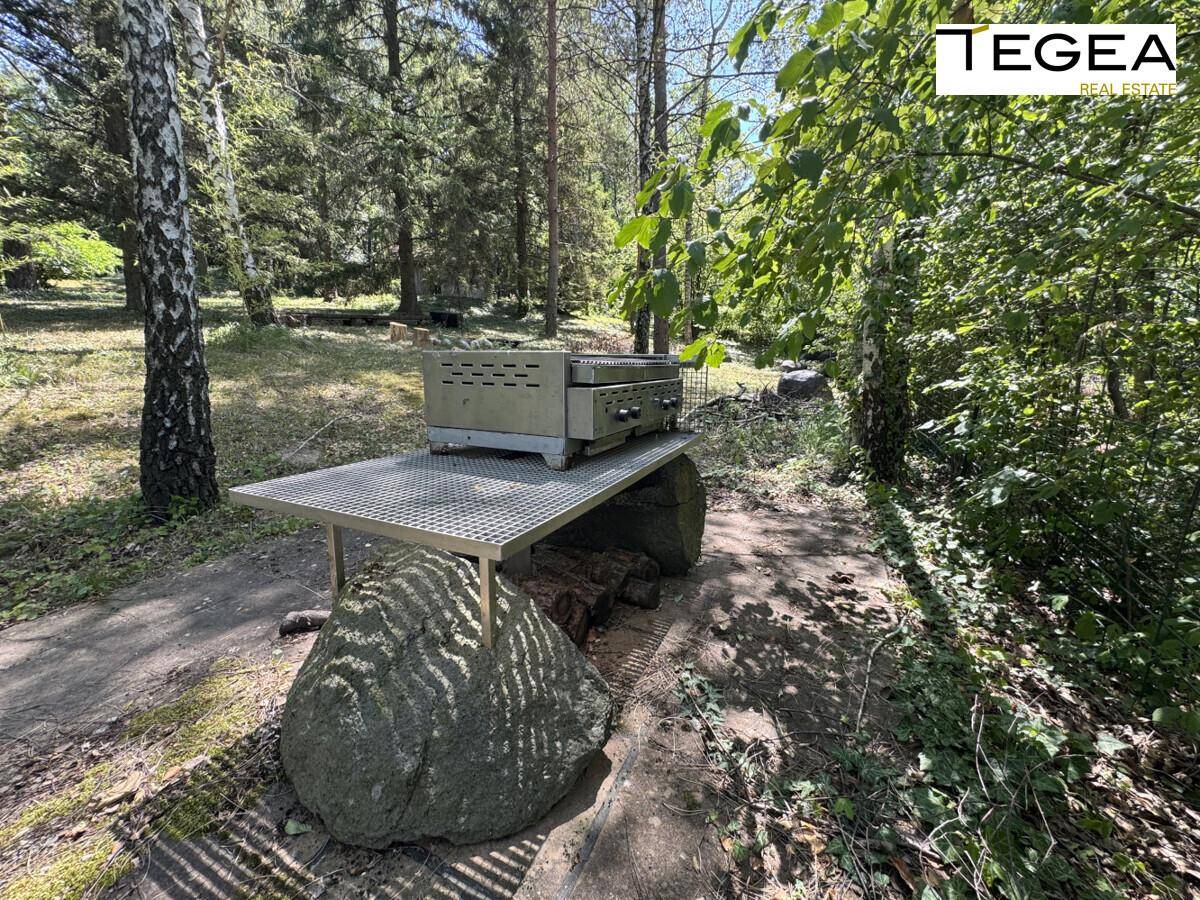 Ein rustikaler Grillplatz im Grünen, umgeben von Bäumen, ideal für Mahlzeiten im Freien.