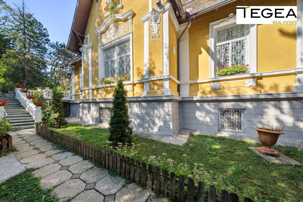 Seitenansicht der Villa mit gelber Fassade, kleinen Bäumen und einem dekorativen Steinweg im Garten.