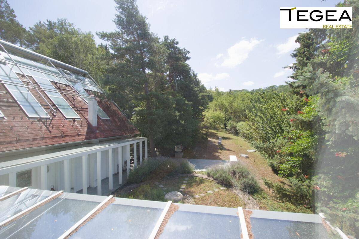 Weitläufiger Blick ins Grüne von der oberen Etage des Hauses, umgeben von Bäumen.
