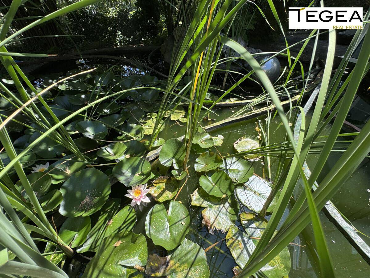 Idyllischer Gartenteich mit Seerosen und üppiger Bepflanzung, ein Ort der Ruhe.