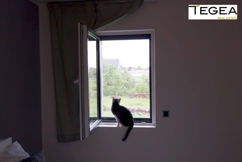 Katze sitzt auf dem Fensterbrett in einem Schlafzimmer mit Blick ins Grüne.