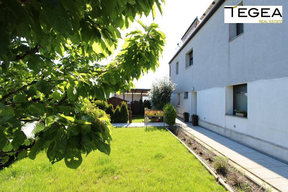 Sonniger Gartenbereich neben dem Haus mit Rasen und gepflastertem Weg.