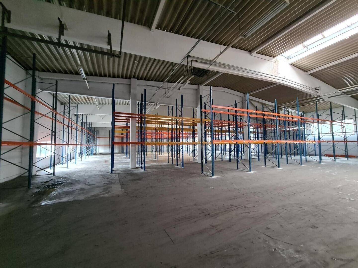 Weitläufige Lagerfläche mit industriellen Regalsystemen und natürlicher Beleuchtung durch Oberlichter.