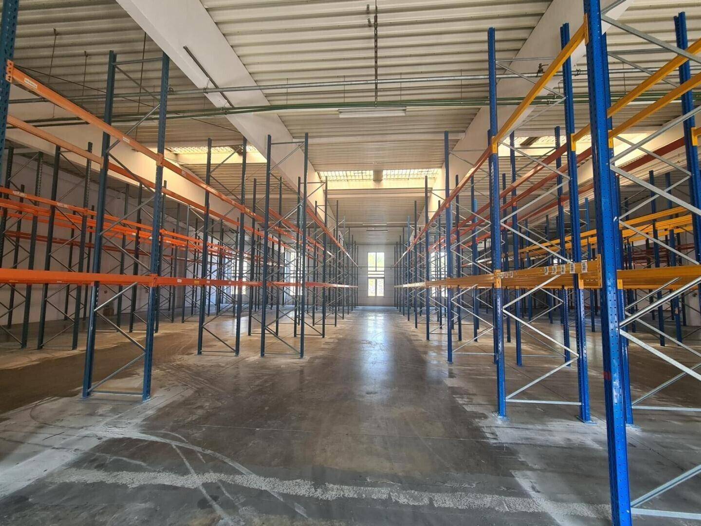 Große Lagerhalle mit hohen Regalsystemen und Betonboden, ideal für industrielle Nutzung.