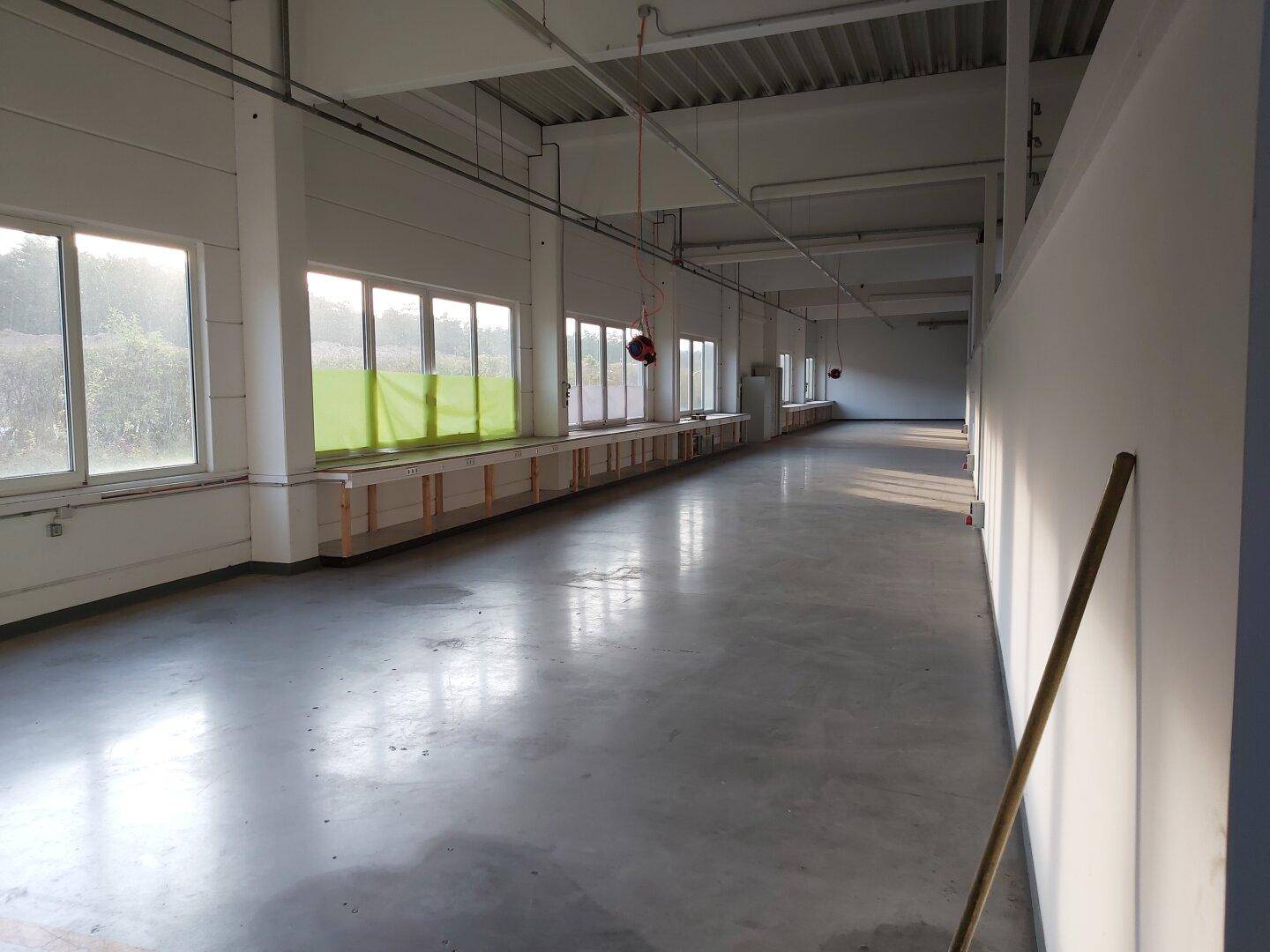 Fensterfront im Industrieraum mit Blick ins Grüne und viel natürlichem Licht, das den Raum erhellt.