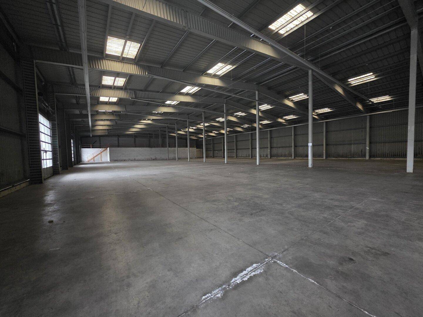 Geräumige Lagerhalle mit hoher Decke, Oberlichtern und Betonboden. Die Halle ist leer und bietet viel Platz.