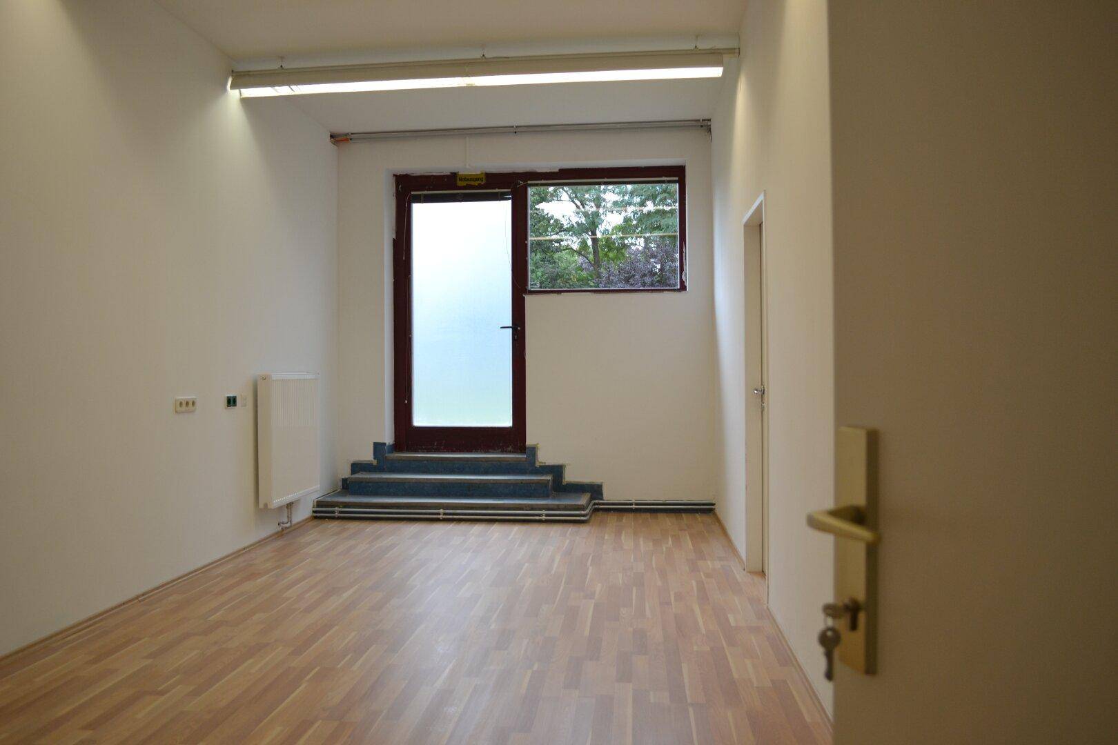 Leerer Eingangsbereich mit Laminatboden, einer Tür mit Fenster und hohen Decken.