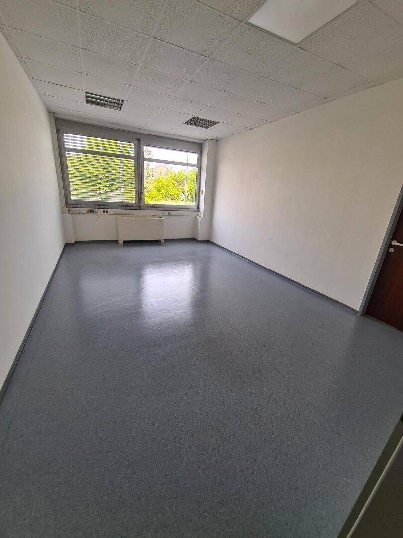 Helles, leeres Büro mit graublauem Vinylboden und Fenster mit Blick nach draußen.