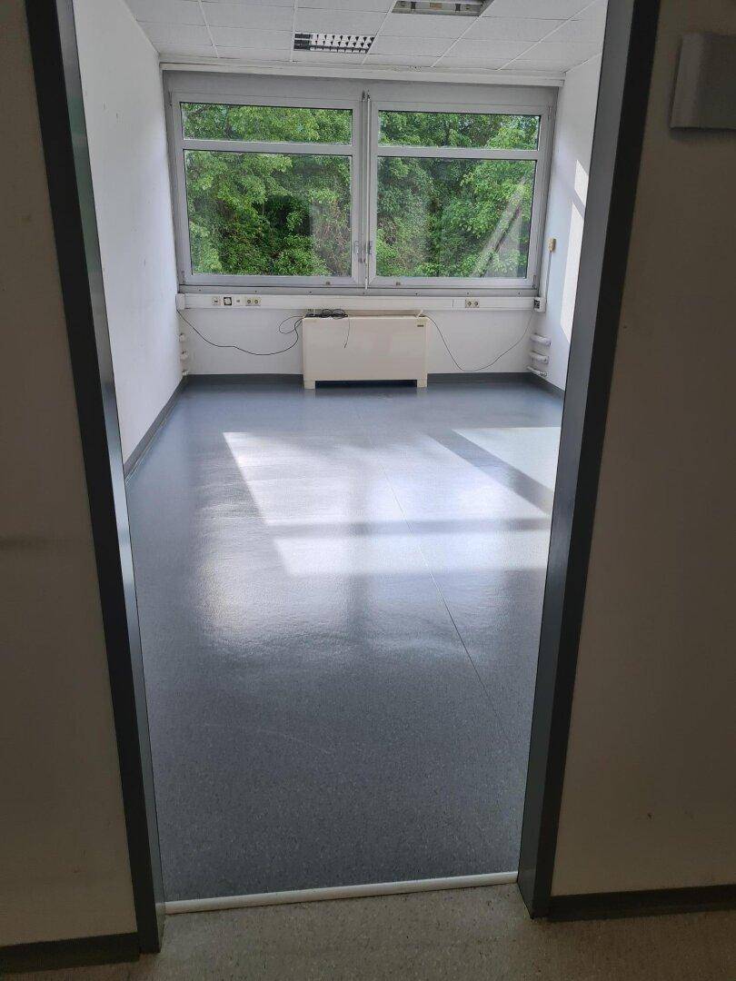 Leeres Büro mit großen Fenstern, die einen grünen Ausblick auf Bäume bieten.