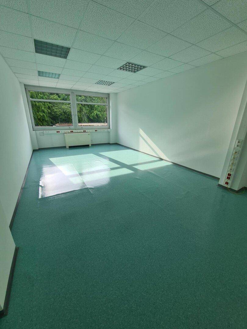 Geräumiges, leeres Büro mit grünem Vinylboden und viel Tageslicht durch große Fenster.
