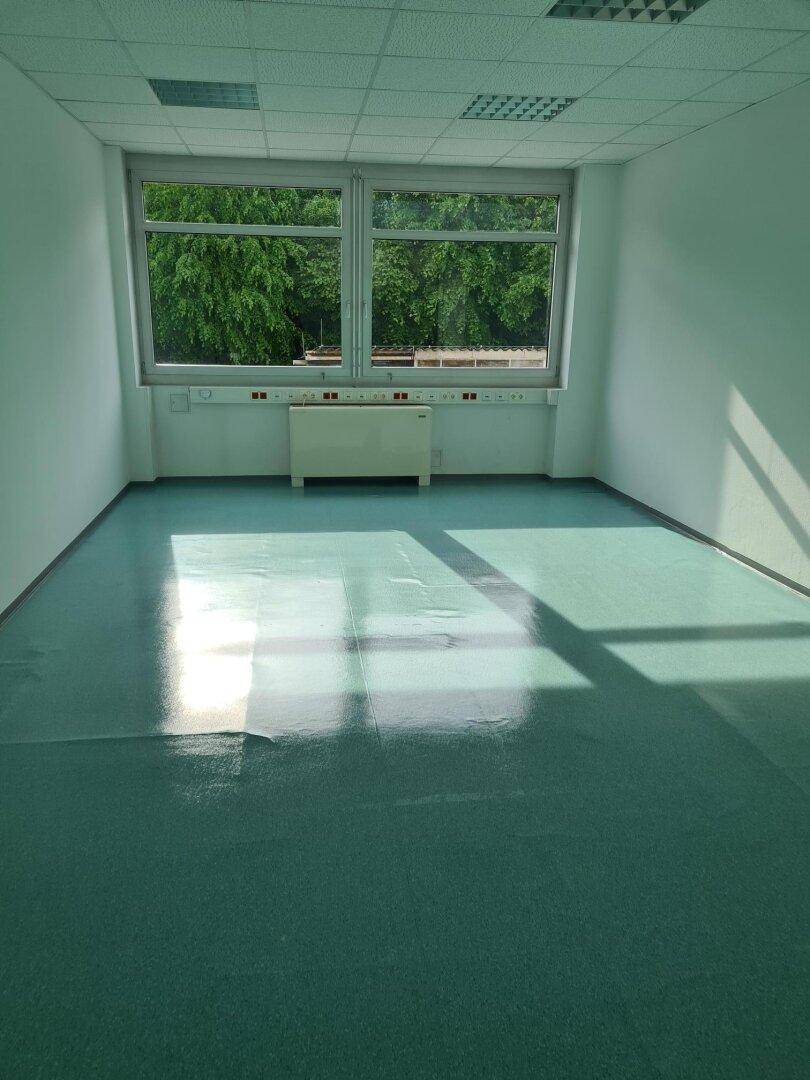 Helles, leeres Büro mit grünem Vinylboden und großen Fenstern mit Blick ins Grüne.