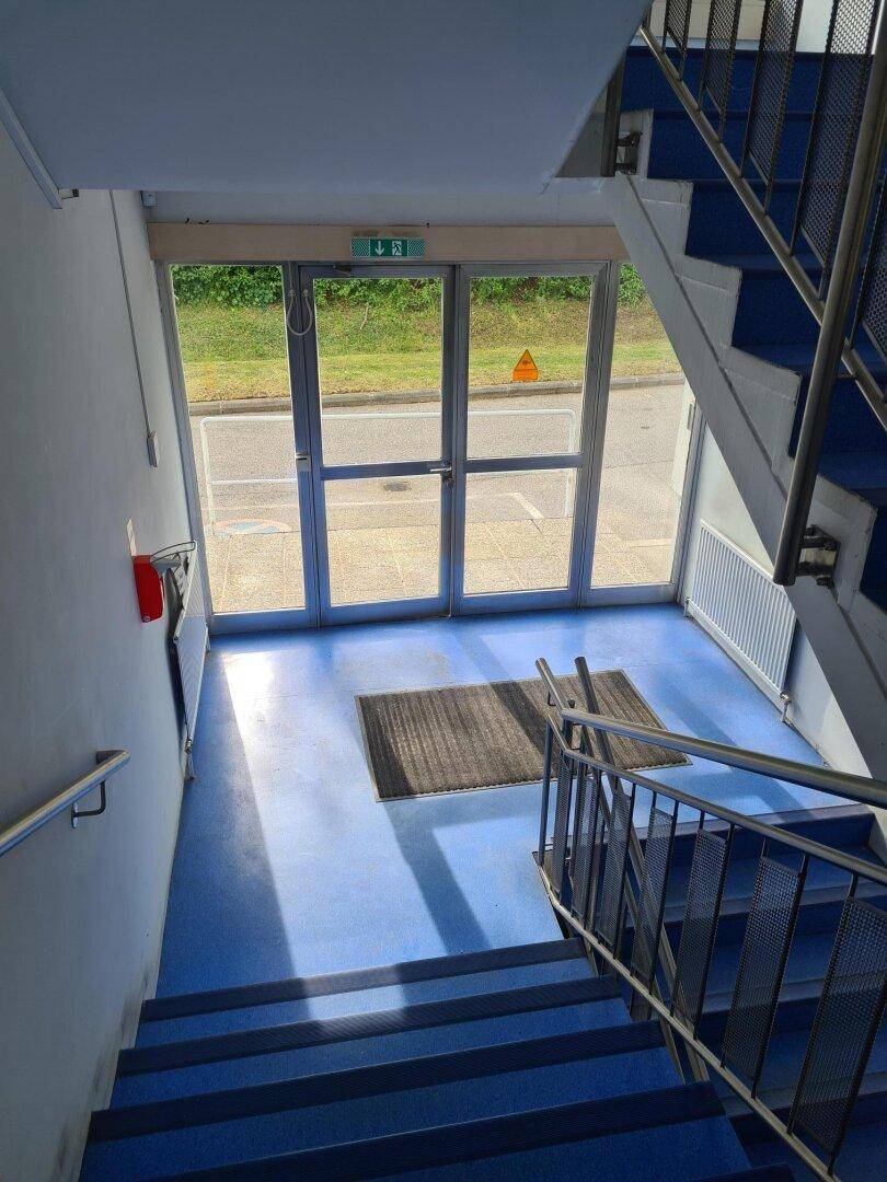 Treppenhaus mit blauen Stufen und Geländer, das zum Eingangsbereich mit Glastüren führt.