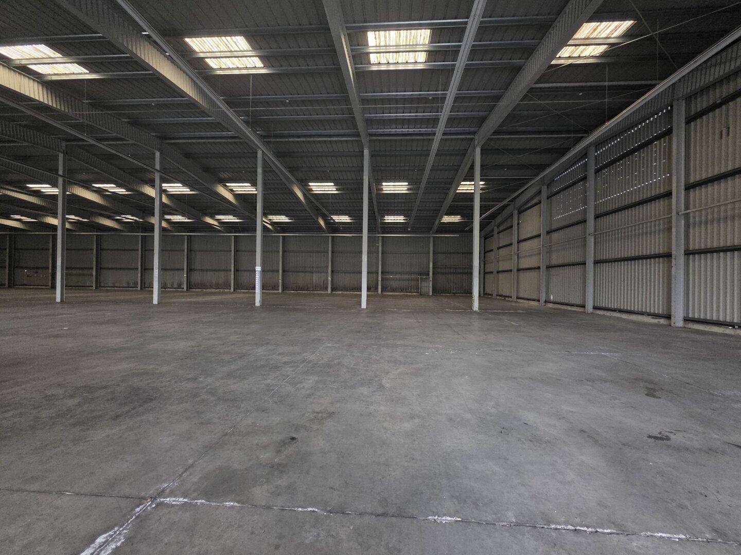 Weitläufige, unmöblierte Lagerhalle mit robustem Betonboden und sichtbarer Dachkonstruktion, gut beleuchtet durch Oberlichter.