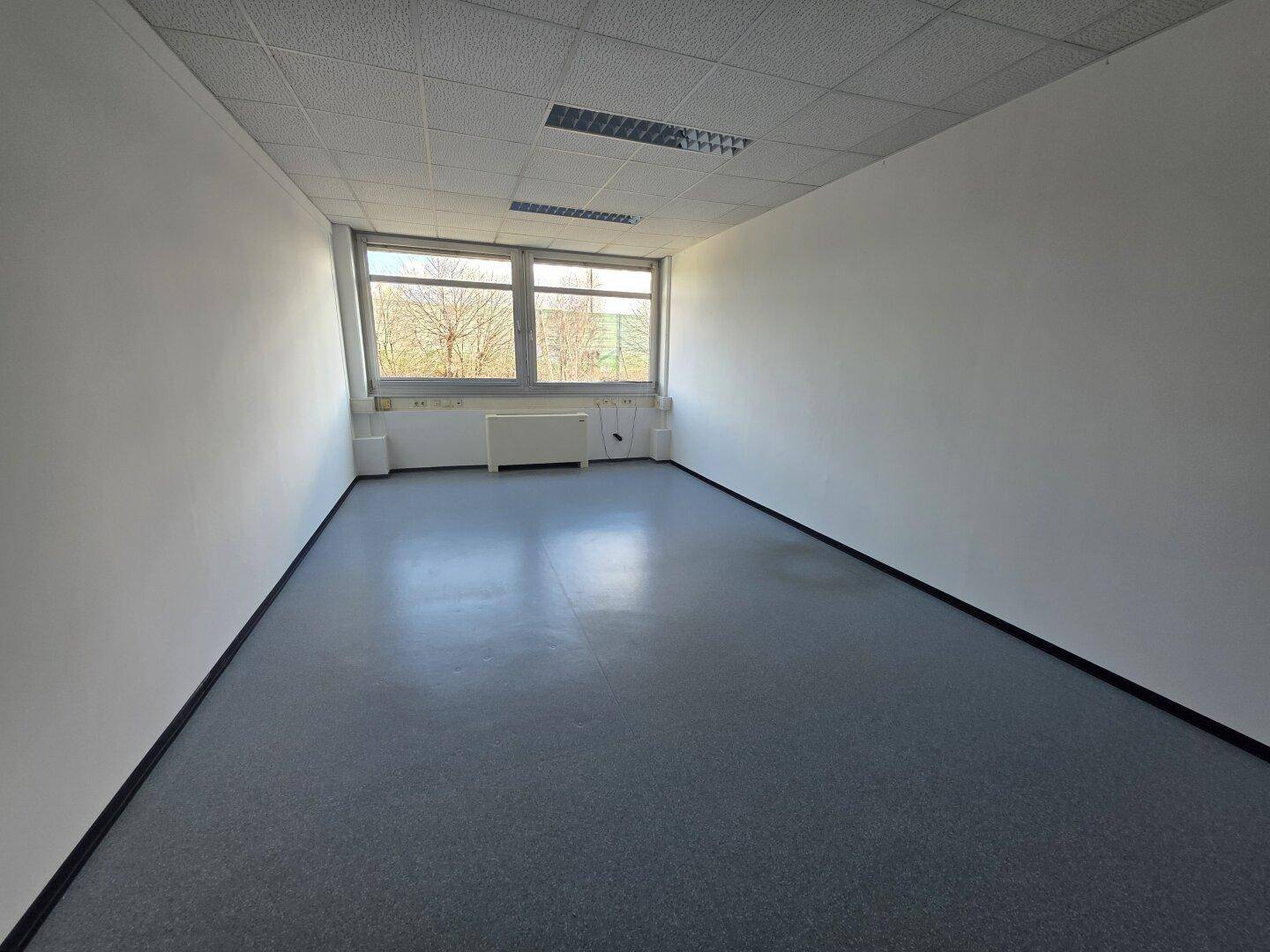 Langes, schmales Büro mit großen Fenstern, die eine weite Aussicht bieten und den Raum hell erleuchten.