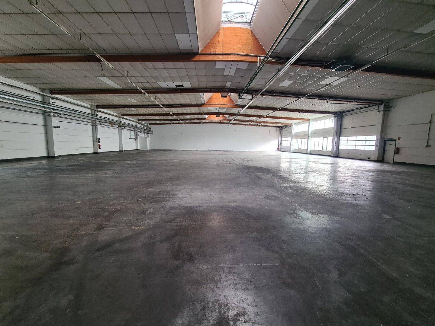 Große, leere Industriehalle mit Betonboden, hohen Decken und Oberlichtern, die viel Licht spenden.
