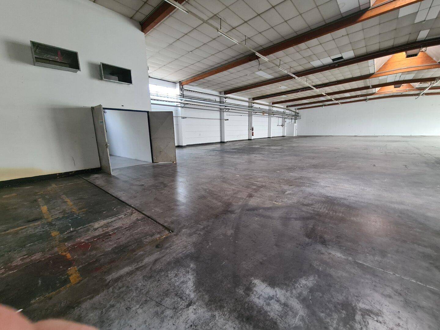 Leere Industriehalle mit Betonboden, weißen Wänden und hohen Decken mit sichtbaren Installationen.