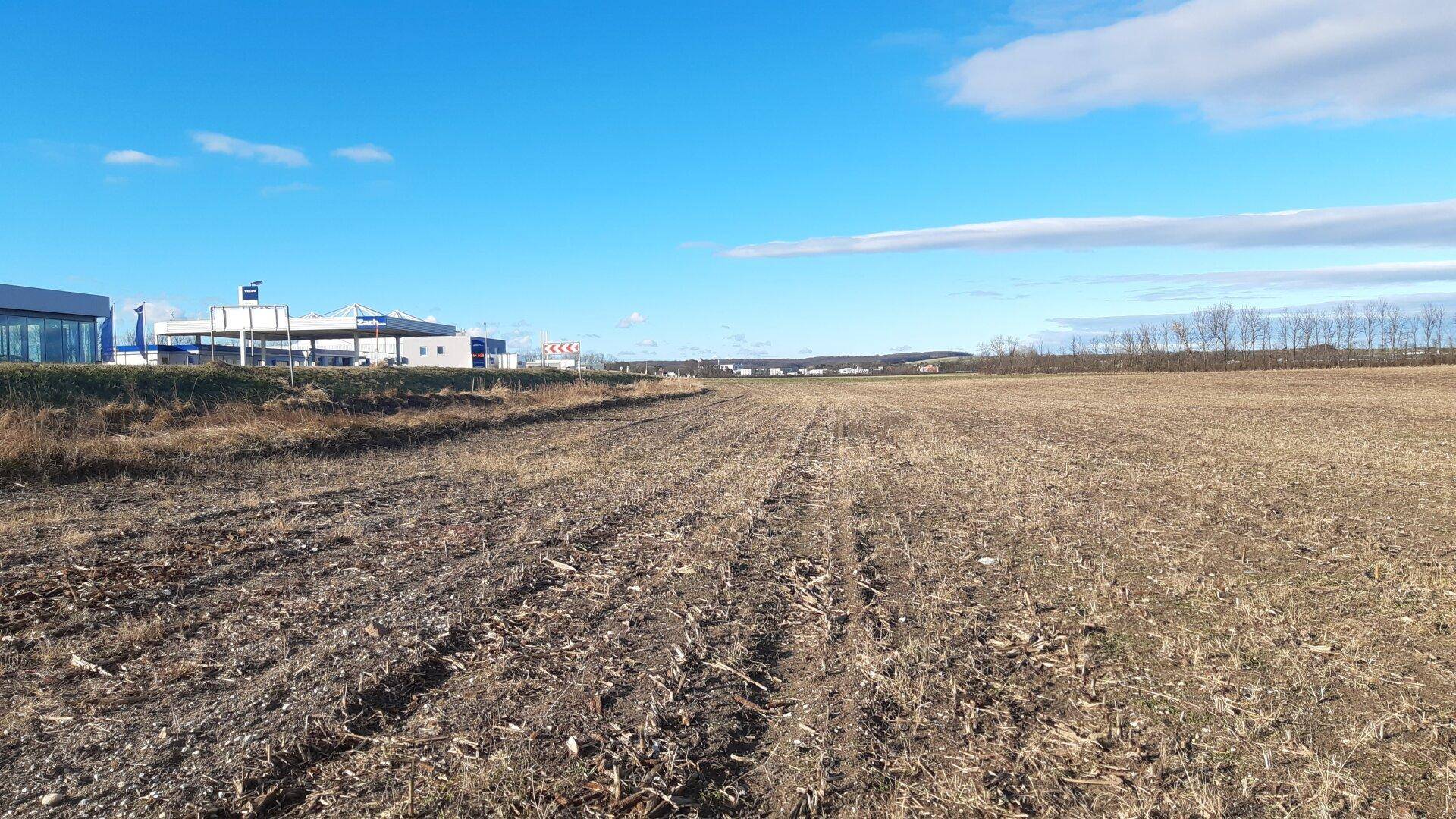 Weites, offenes Feld mit trockener Vegetation und gewerblichen Gebäuden in der Ferne unter blauem Himmel.