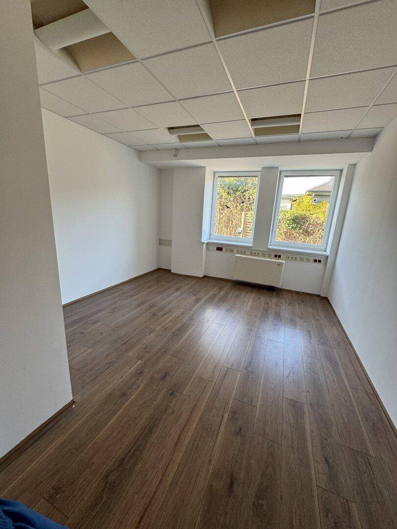 Leerer Büroraum mit Laminatboden, weißen Wänden und zwei großen Fenstern mit Blick ins Grüne.