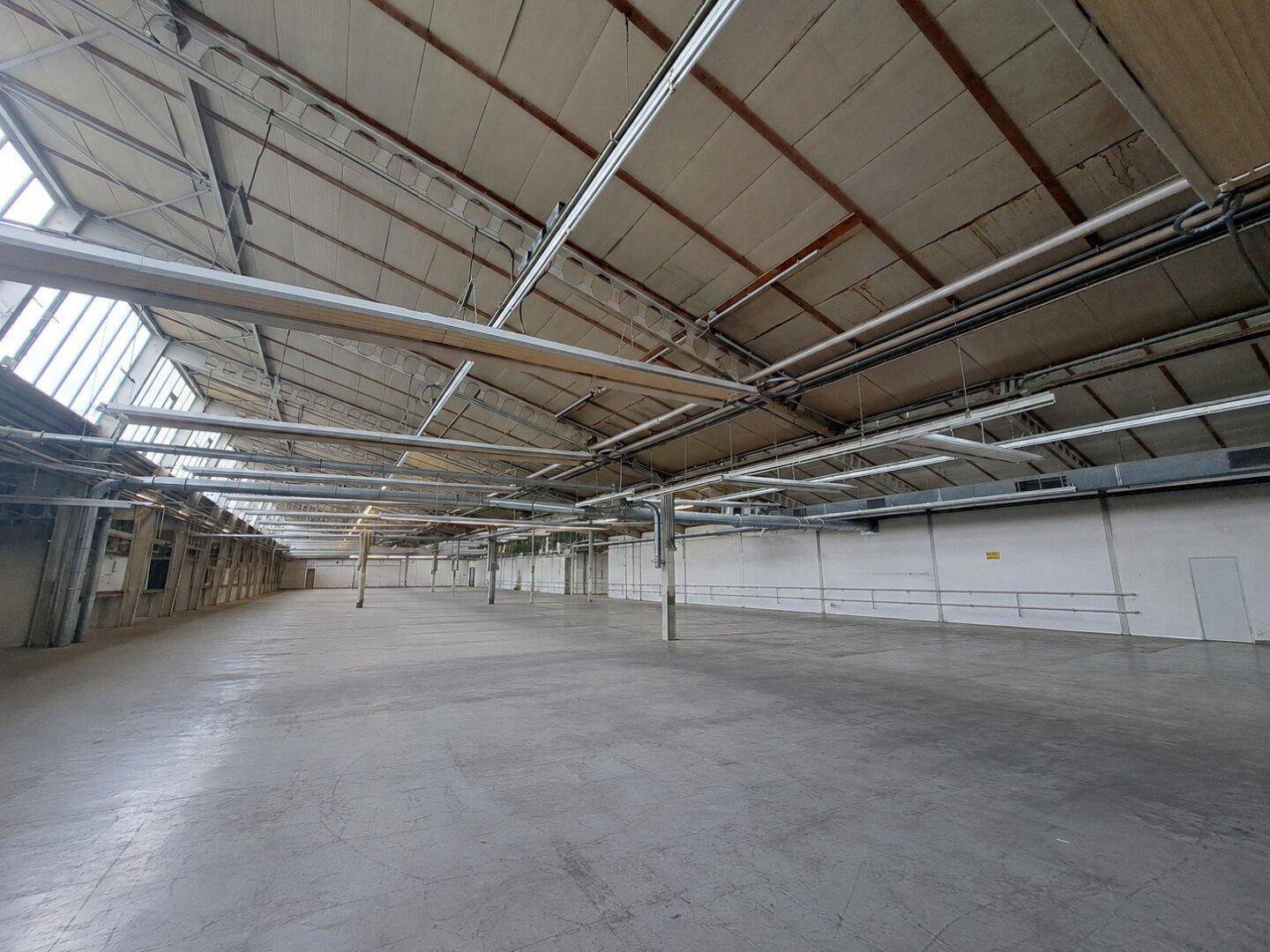 Weitläufige, leere Lagerhalle mit sichtbarer Dachkonstruktion und natürlichem Lichteinfall durch Oberlichter.