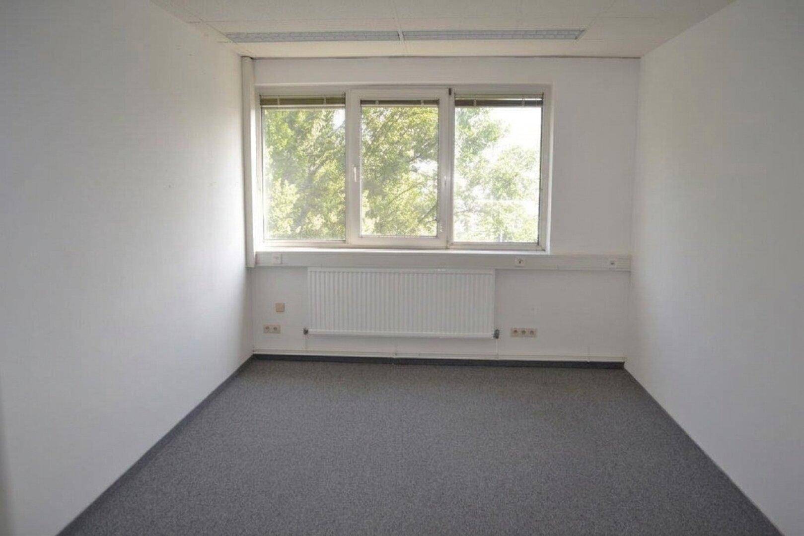 Leerer Raum mit weißen Wänden, grauem Teppichboden und großem Fenster mit Blick ins Grüne.