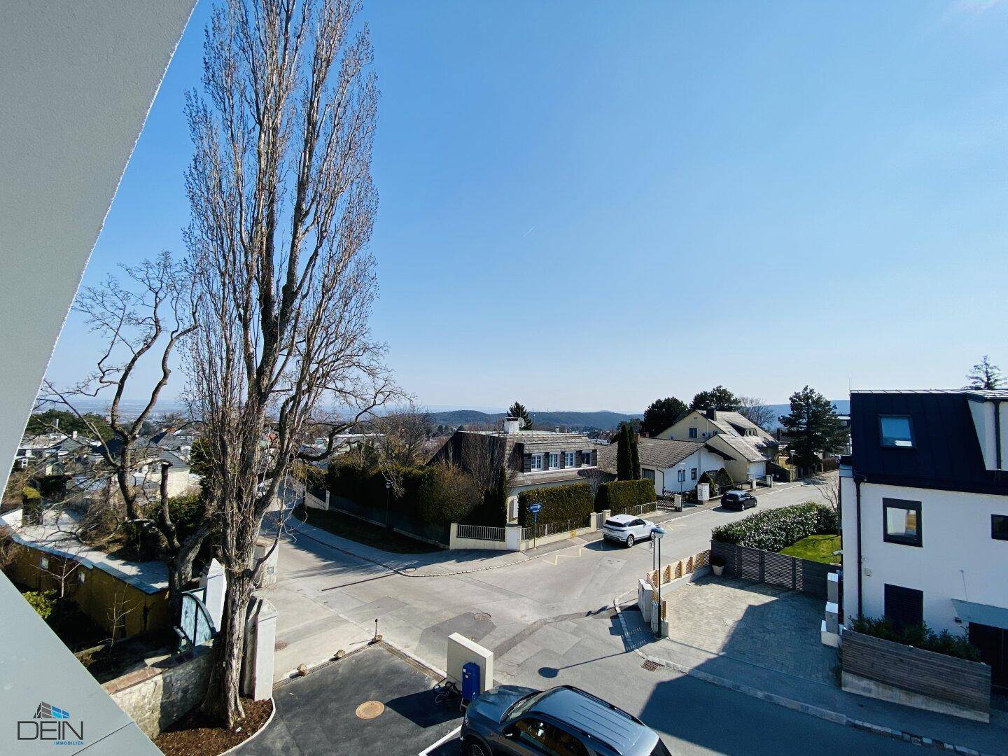 Blick auf die ruhige Wohnstraße mit Bäumen und umliegenden Häusern.