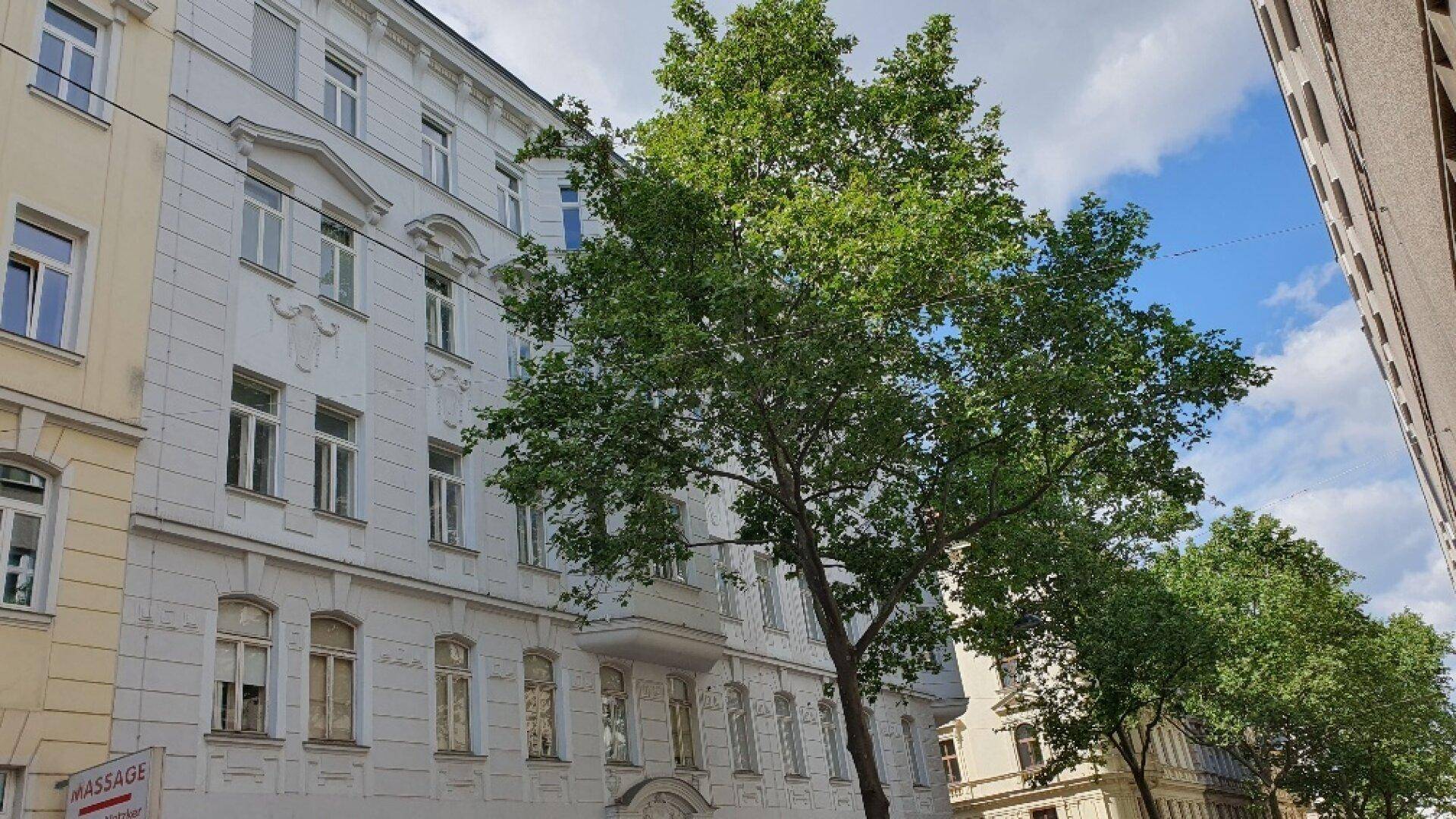 Historisches Gebäude mit klassischer Architektur und großen Bäumen vor der Fassade.