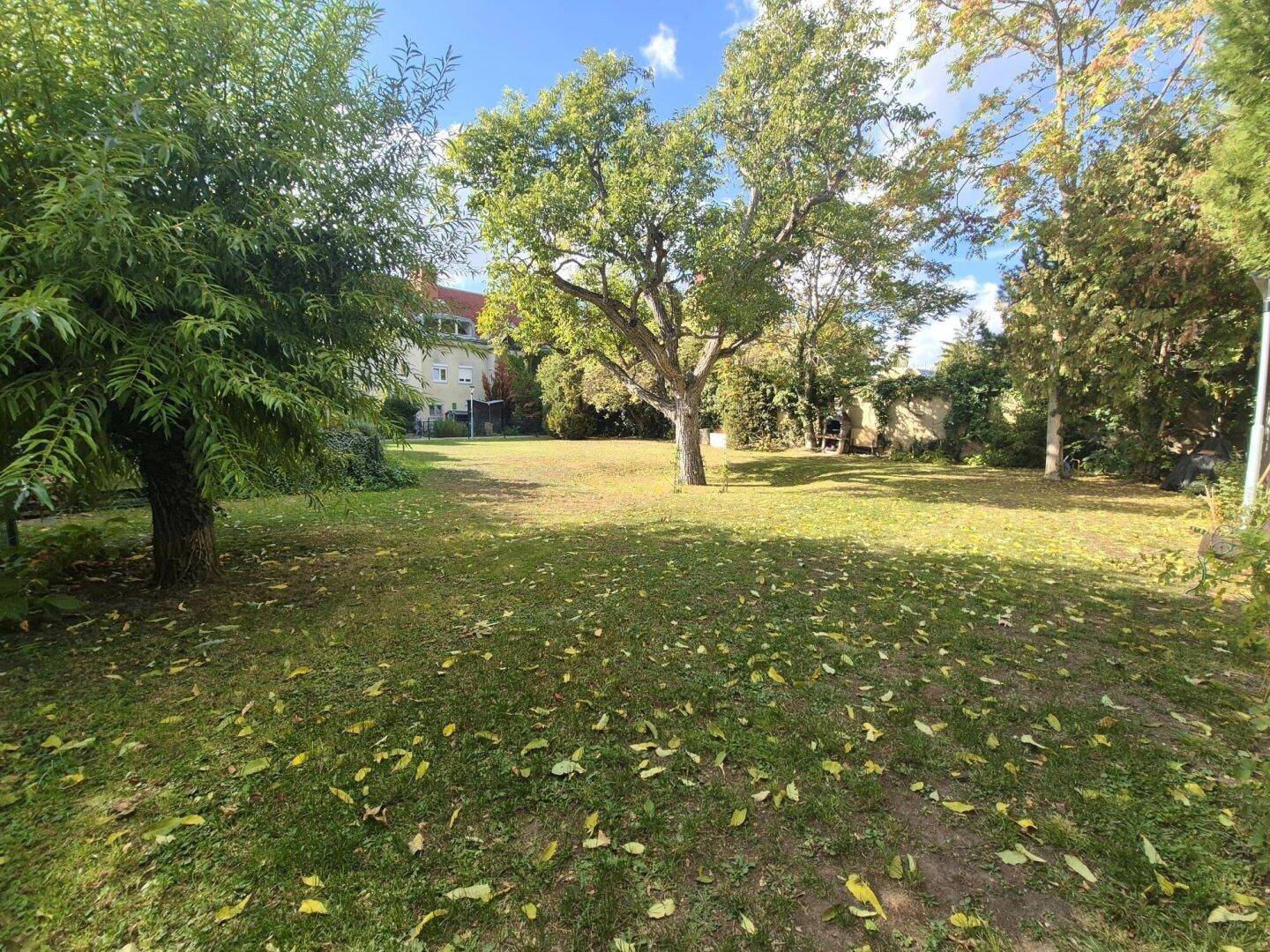 Weitläufige Rasenfläche mit mehreren Bäumen und viel Platz im Freien.