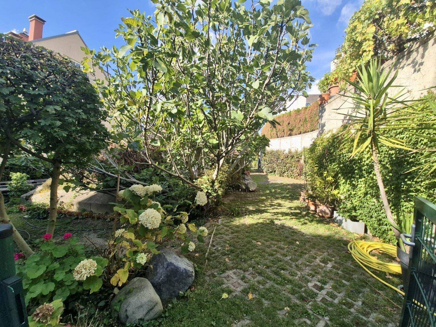 Großer, sonniger Garten mit Rasenfläche, Bäumen und verschiedenen Pflanzen.