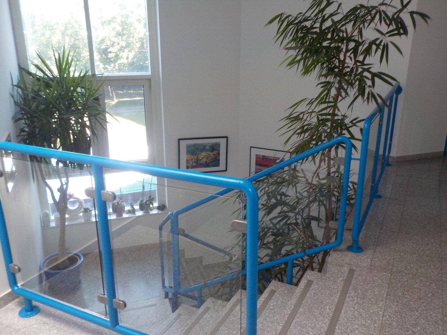Helles Treppenhaus mit blauen Geländern, Glaspaneelen und großen Fenstern mit Pflanzen.