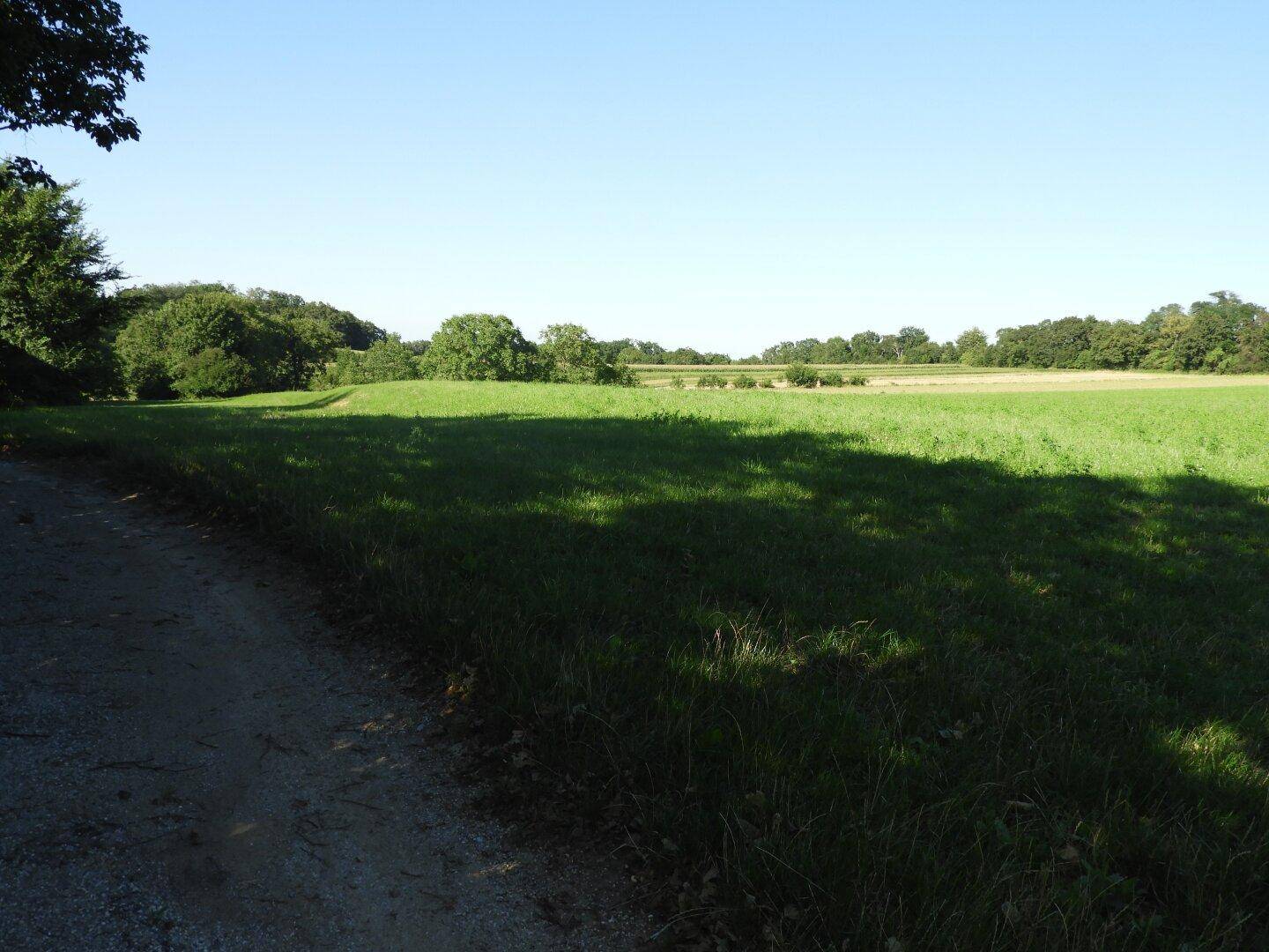 Weitläufige grüne Wiesen und Felder unter blauem Himmel, umgeben von Bäumen und Natur.