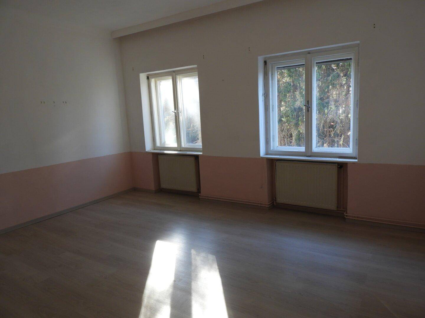 Geräumiges Zimmer mit Laminatboden und zwei Fenstern, die den Raum mit Licht füllen.