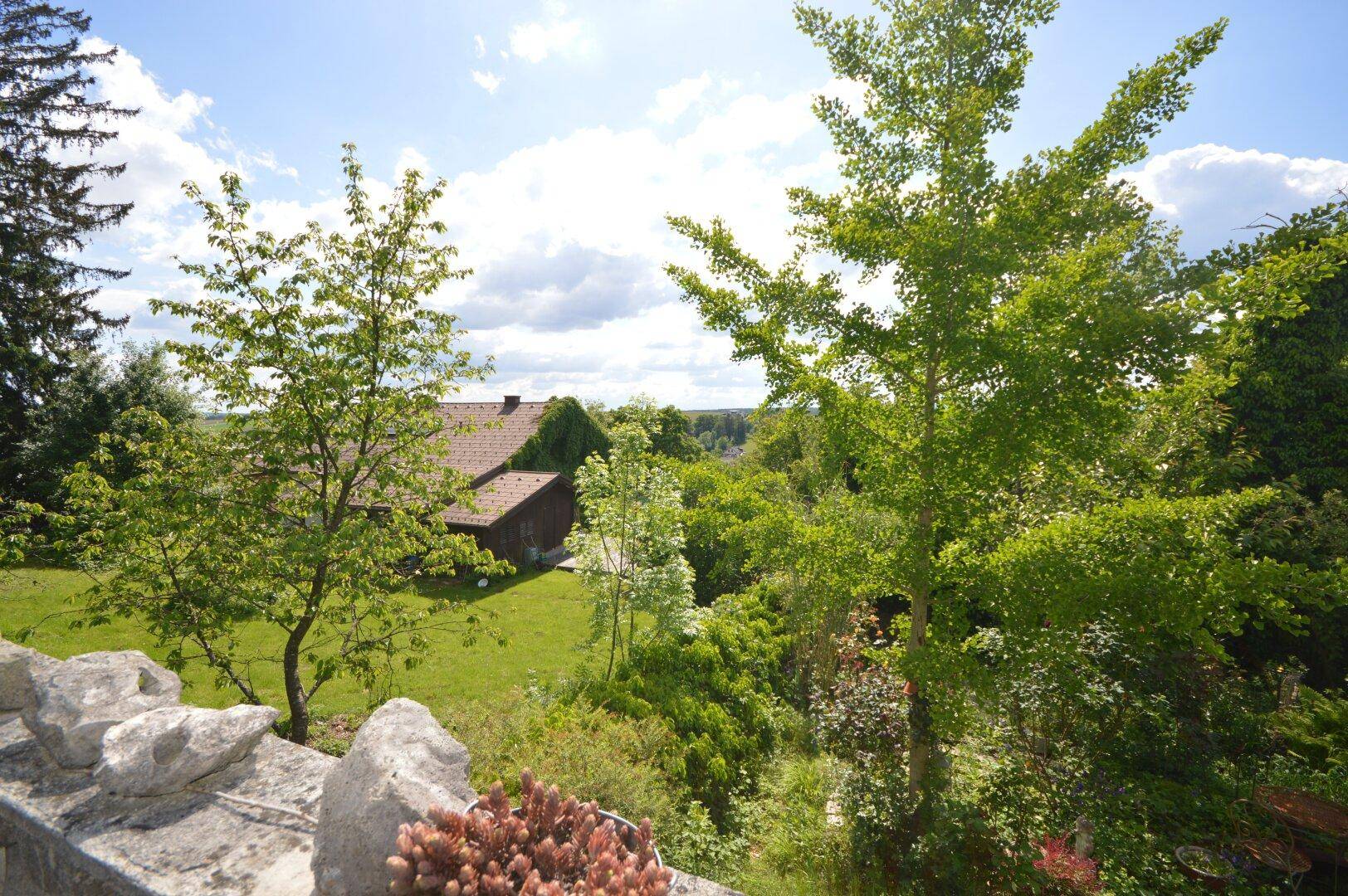 Fernblick von Terrasse