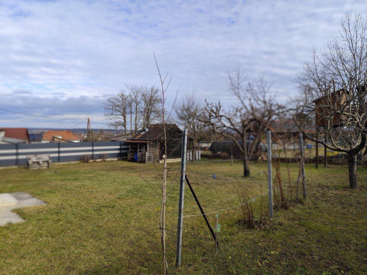 Weitläufiger Garten mit Rasenfläche und jungen Bäumen, umgeben von einem Zaun.