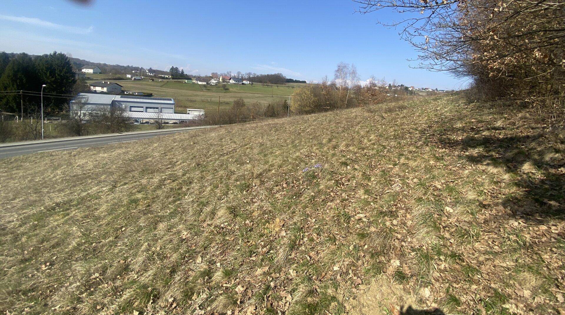 Wunderschönes Baugrundstück mit Aussicht - Ansicht 4
