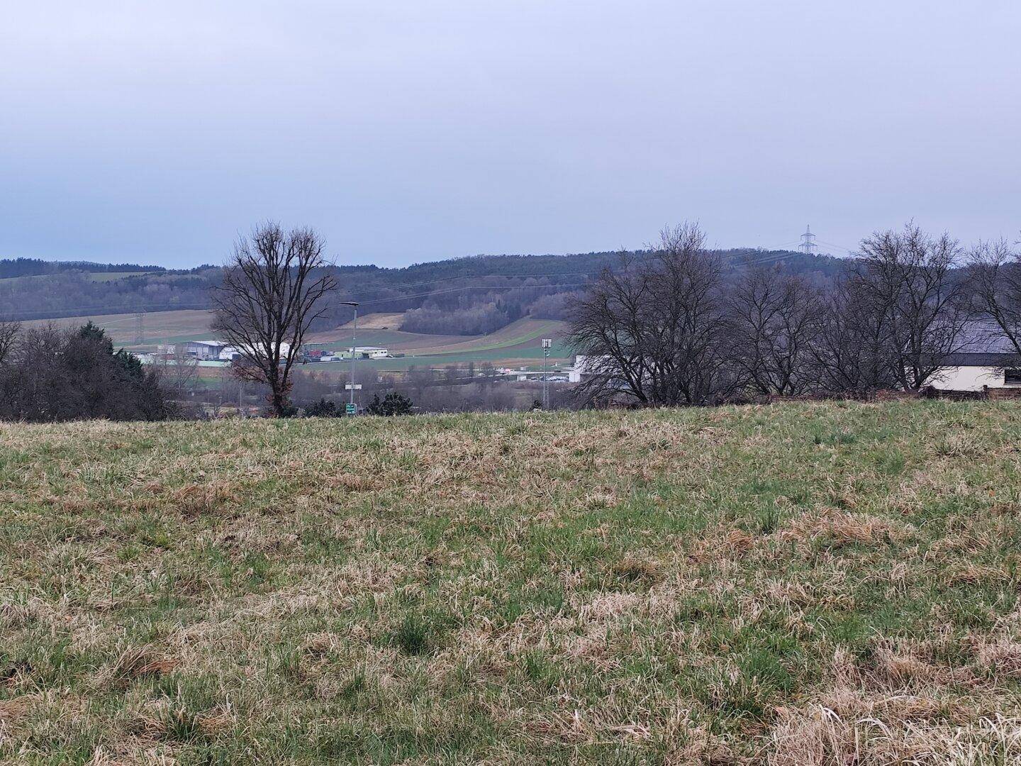 Blick über eine weite Grasfläche auf eine ländliche Siedlung und bewaldete Hügel in der Ferne.