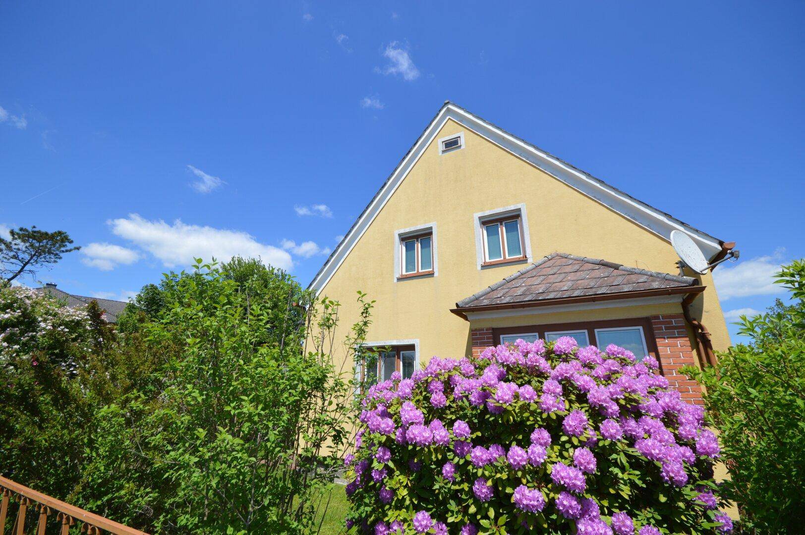 Seitenansicht des gelben Hauses mit blühendem Rhododendron und Satteldach.