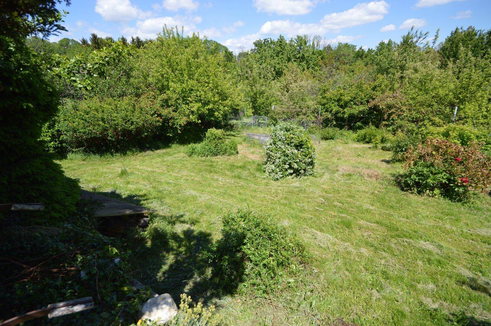 Weitläufiger, naturbelassener Gartenbereich mit viel Grün und Bäumen.
