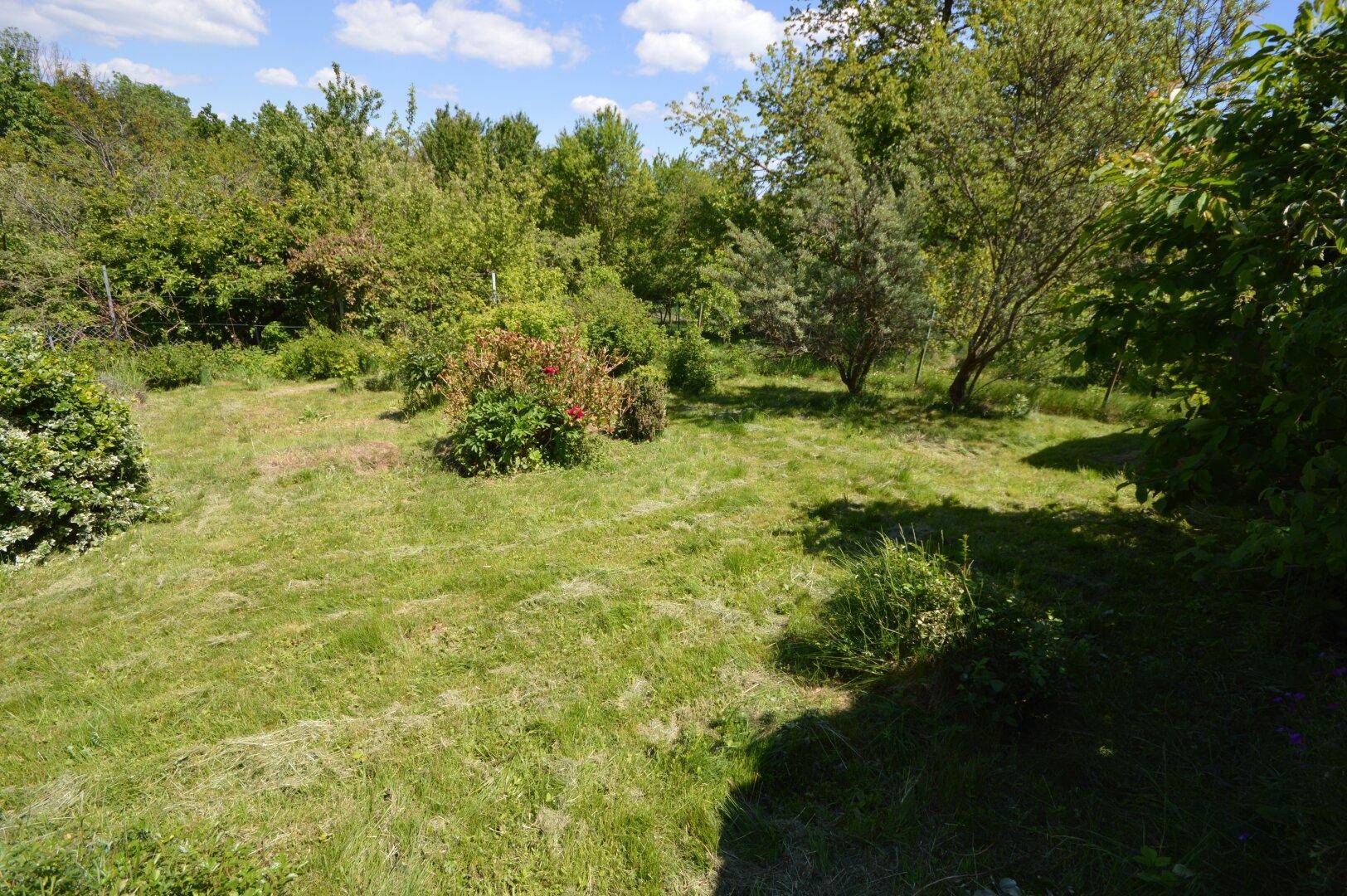 Großer Garten mit Rasenflächen, Sträuchern und Bäumen unter blauem Himmel.