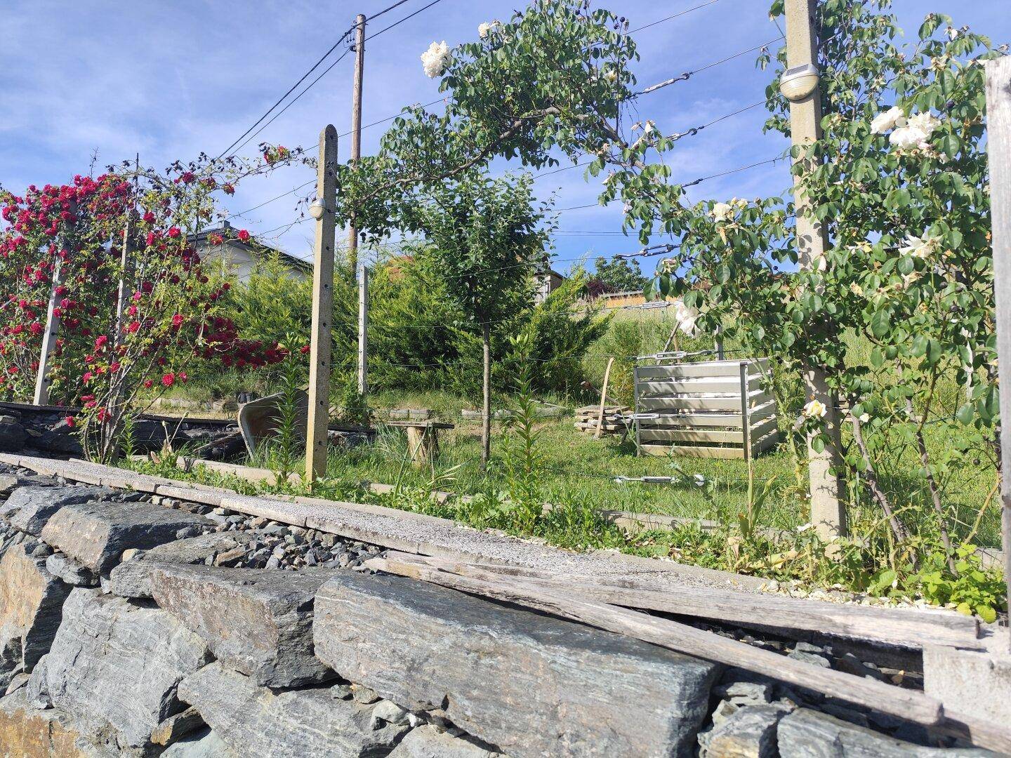 Gartenbereich mit einer Steinmauer, blühenden Rosen und einem Zaun im Hintergrund.