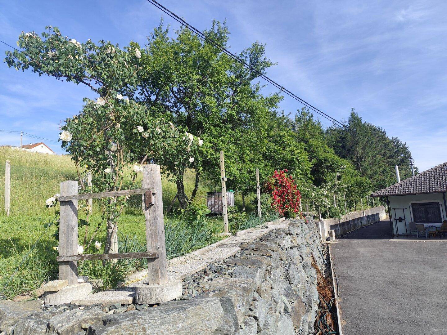 Gartenweg mit Steinmauer und blühenden Sträuchern, führt zum Haus.
