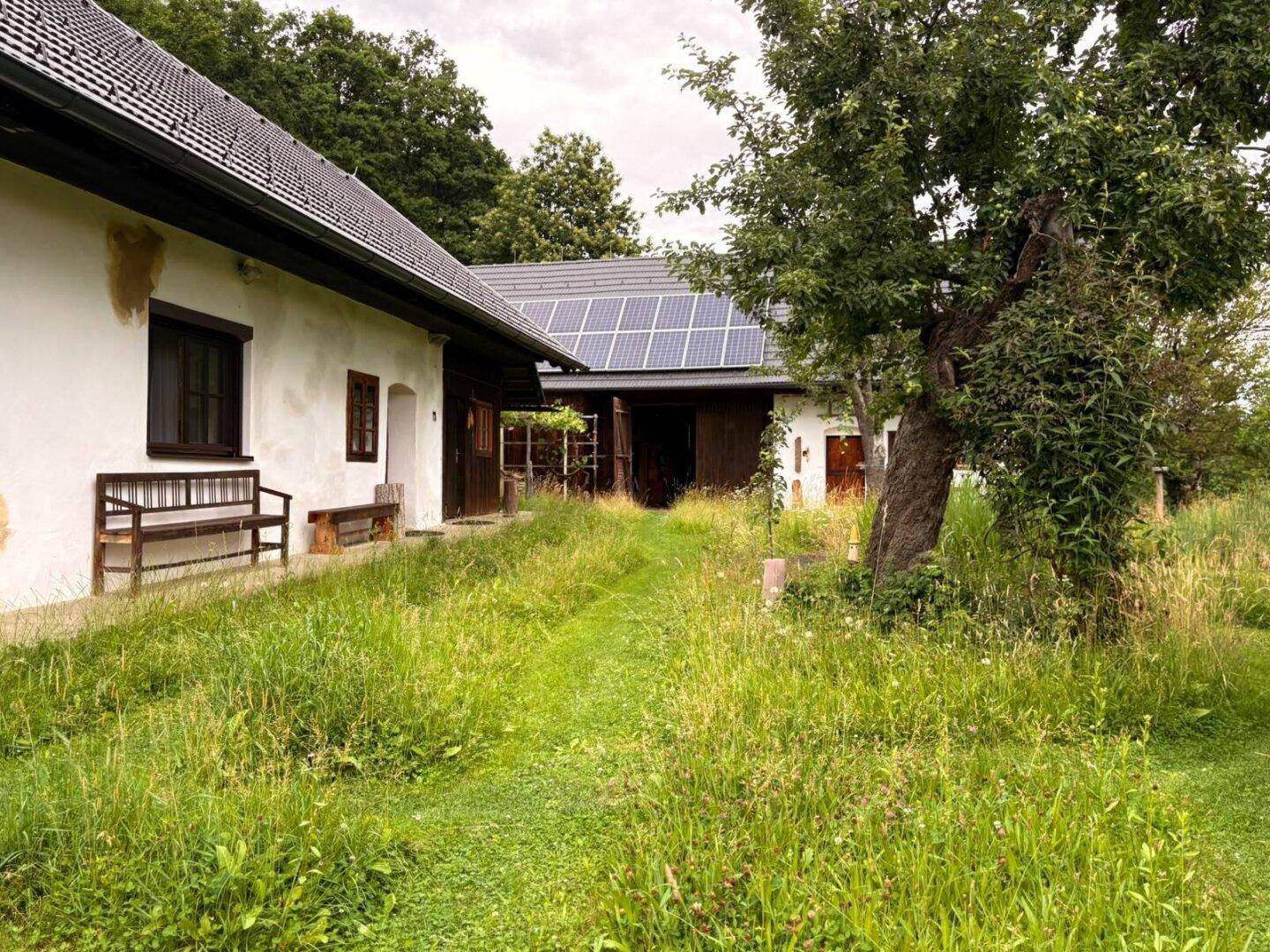 Weißes Haus mit grauem Dach und Solaranlage, umgeben von hohem Gras und Bäumen.