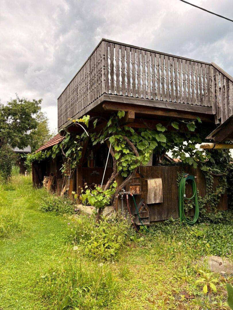 Rustikales Holzgebäude mit einer erhöhten Holzterrasse, umgeben von üppigem Grün und Weinreben.