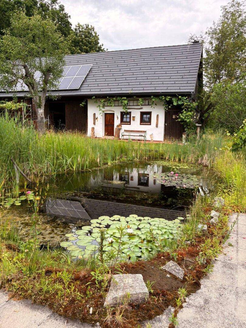 Teich mit Seerosen, der ein weißes Haus mit Solaranlage auf dem Dach widerspiegelt.