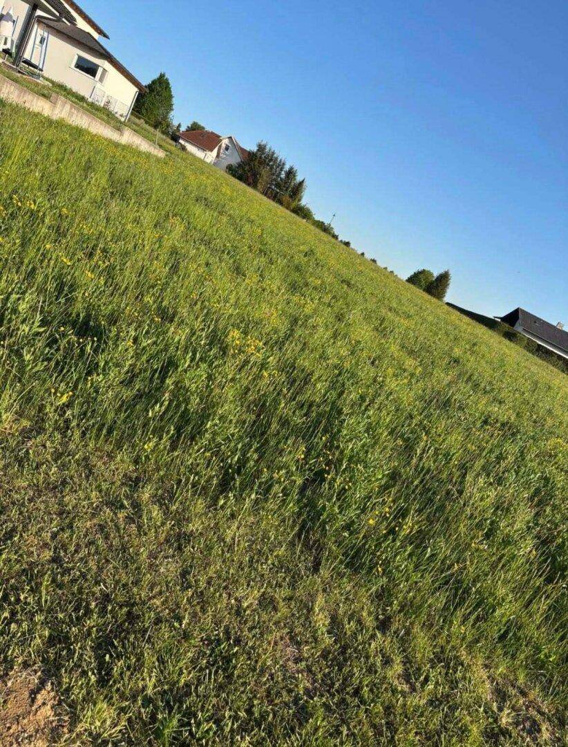 Traumgrundstück 953m² in Jormannsdorf – Perfekt für Ihr Eigenheim, €110.000,- - Ansicht 2