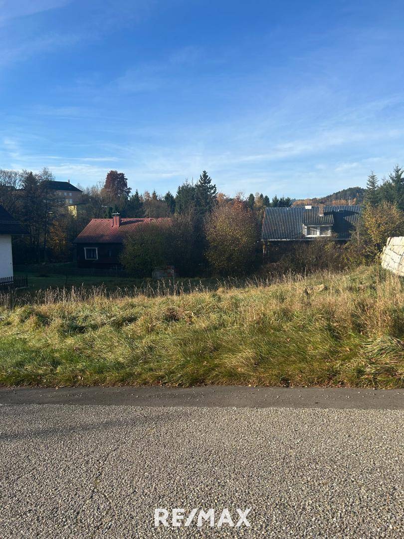 Weitläufiges, unbebautes Grundstück mit hohem Gras und Blick auf die ländliche Umgebung.