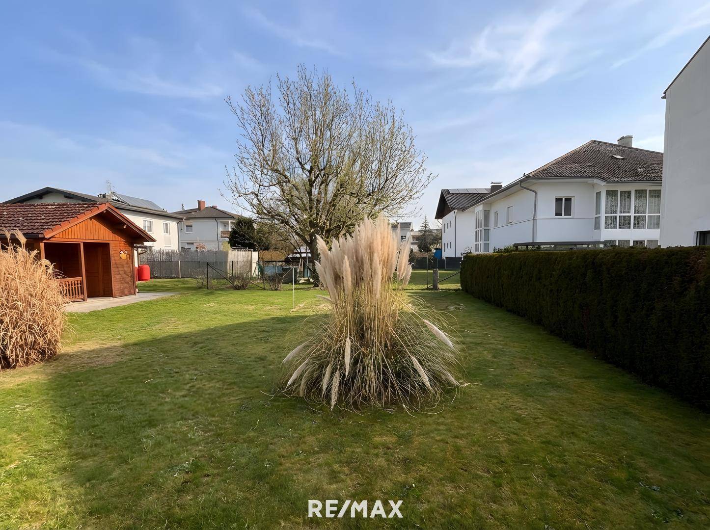 Großer Garten mit Rasenfläche, Ziergräsern und einem Holzschuppen, umgeben von Wohnbebauung.