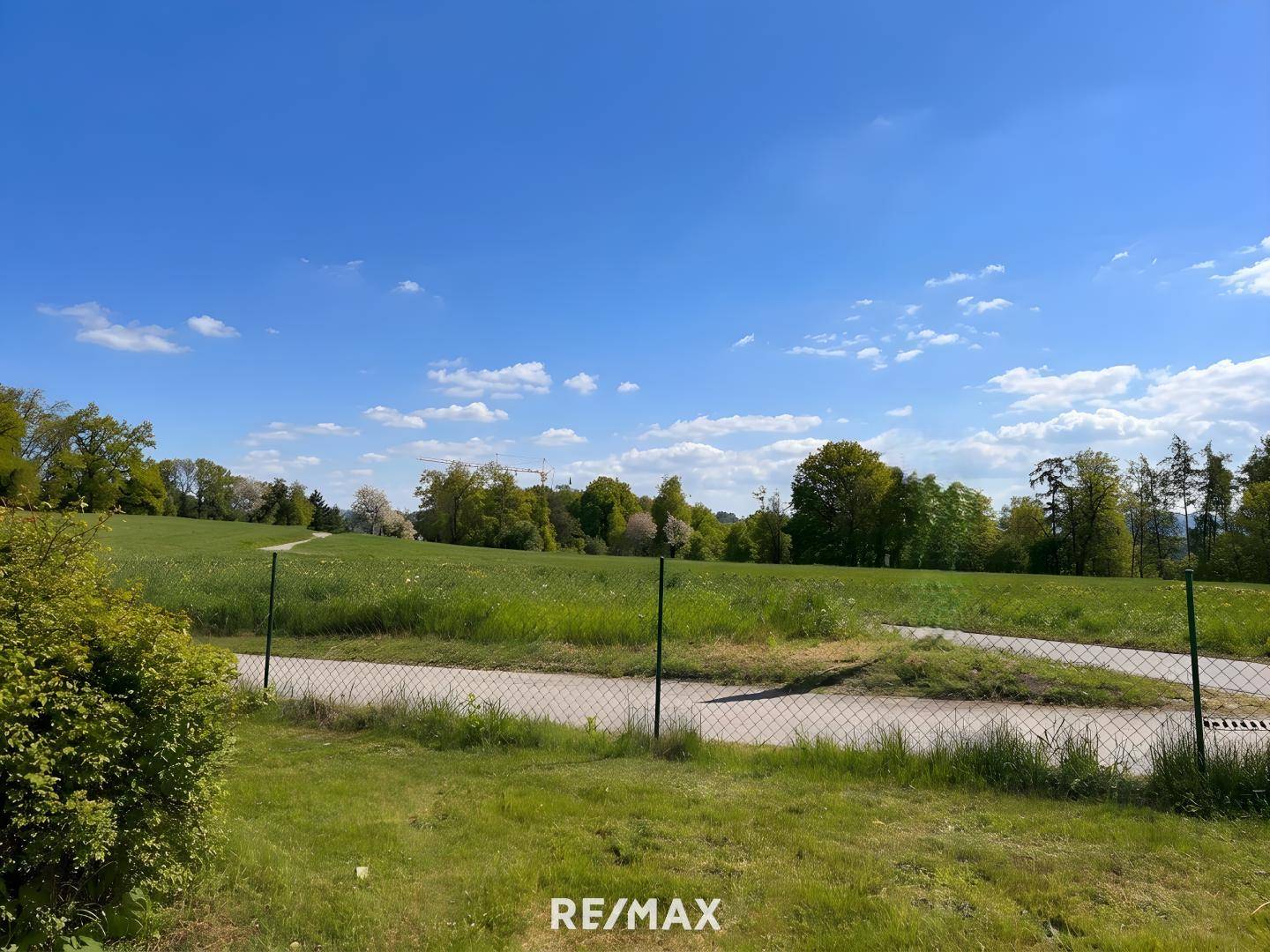 Offene grüne Felder mit Bäumen am Horizont und einem Weg unter strahlend blauem Himmel.