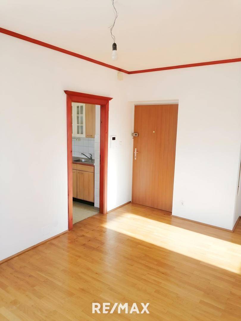 Eingangsbereich mit Holztür und Zugang zu einer kleinen Küche, akzentuiert durch rote Türrahmen.