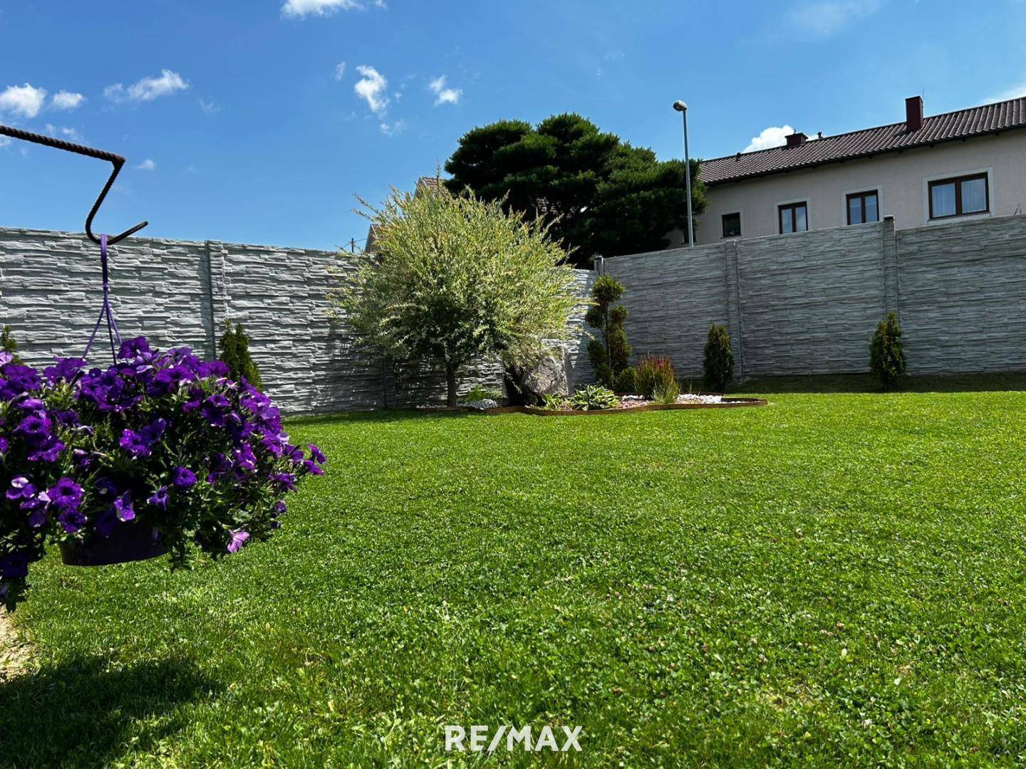 Gepflegter Garten mit Rasenfläche, dekorativen Bäumen und einer hohen Sichtschutzwand im Hintergrund.